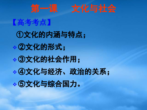 广东地区高考政治专题文化与社会优秀课件