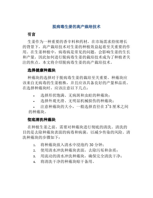 脱病毒生姜的高产栽培技术