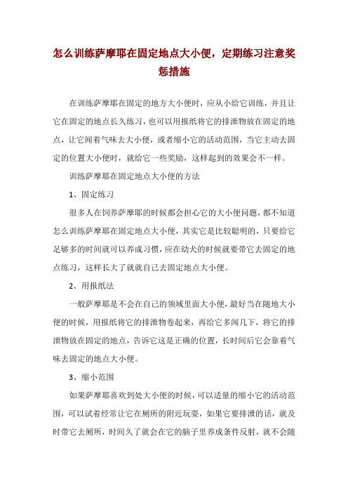 怎么训练萨摩耶在固定地点大小便,定期练习注意奖惩措施