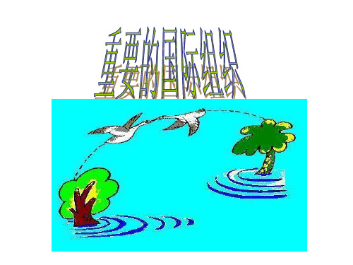 七年级地理重要的国际组织(整理2019年11月)