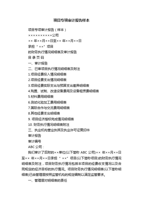 项目专项审计报告(样本)