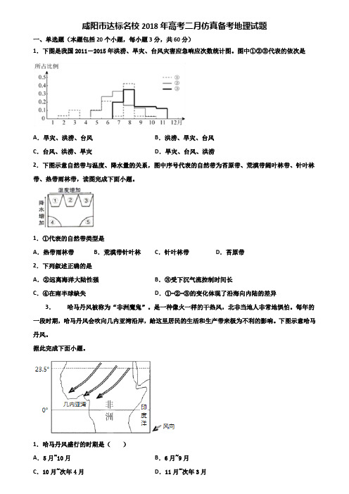 咸阳市达标名校2018年高考二月仿真备考地理试题含解析