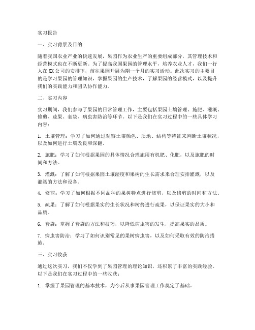 果园建立实习报告