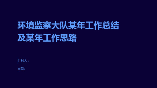 环境监察大队某年工作总结及某年工作思路