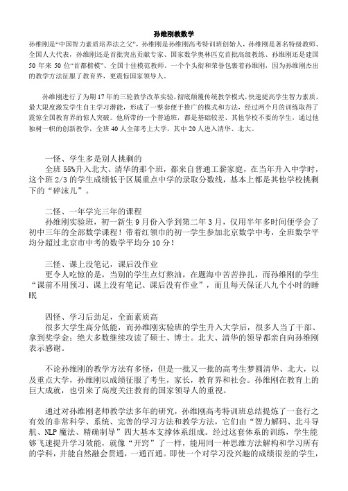 孙维刚教数学