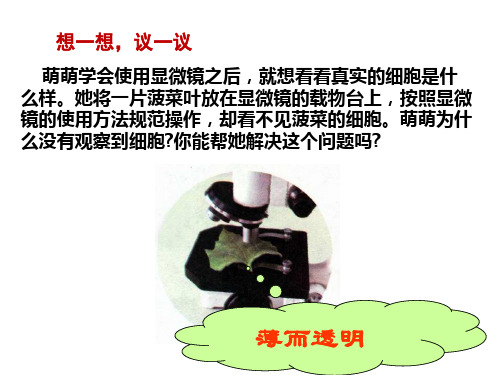 初中生物 植物细胞2 人教版精品课件