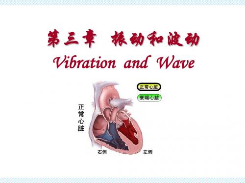 12-3振动与波动合成