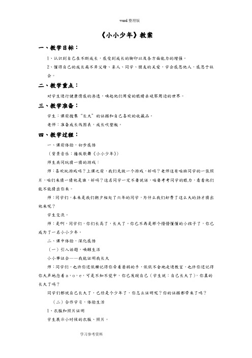 品德与社会教育科学六年级下册《小小少年》教案2