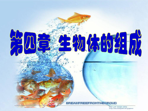 苏教版初中生物七上第2单元第四章第一节《单细胞生物》课件(共26张ppt)(共26张PPT)
