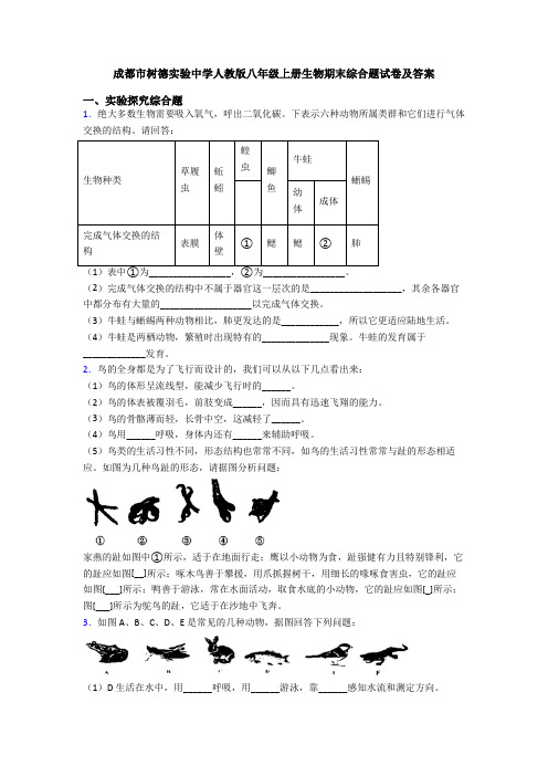 成都市树德实验中学人教版八年级上册生物期末综合题试卷及答案