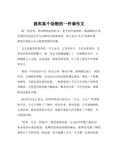 我和某个动物的一件事作文