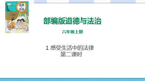 部编人教版小学道德与法治六年级上册《感受生活中的法律》优质教学课件