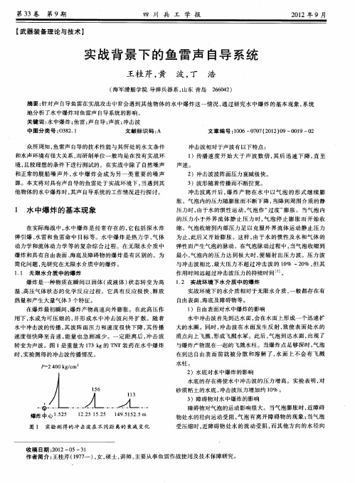 实战背景下的鱼雷声自导系统