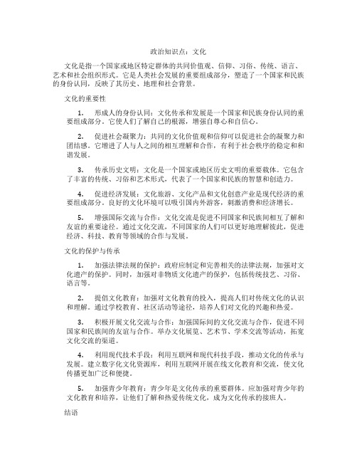 政治知识点文化