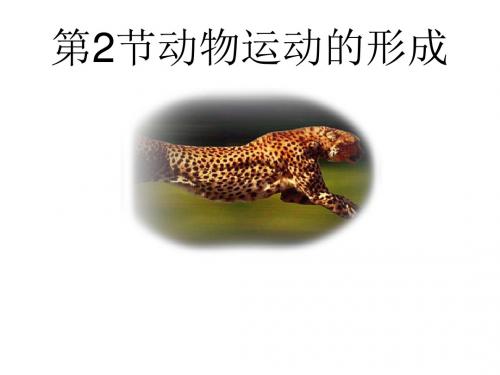 八年级生物上册 第15章第2节 动物运动的形成课件 北师大版