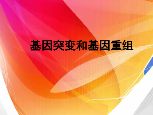 基因突变和基因重组 习题课件