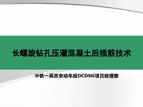 长螺旋钻孔灌注桩后插筋技术讲义