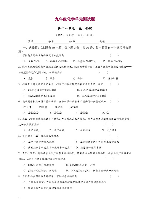 新人教版九年级化学下册：第十一单元 盐  化肥.doc