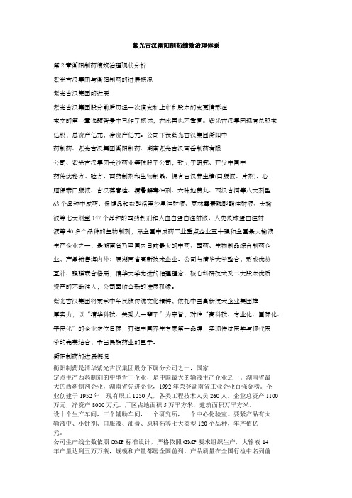 紫光古汉衡阳制药绩效治理体系