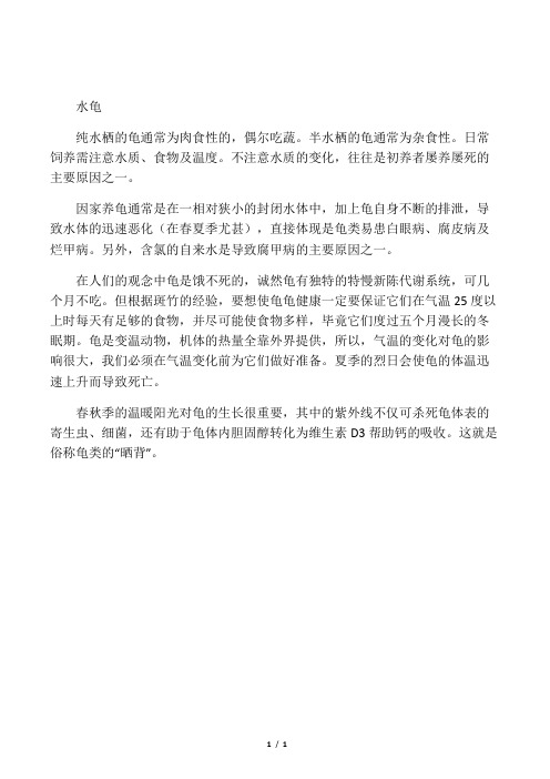 水龟的日常饲养及照料