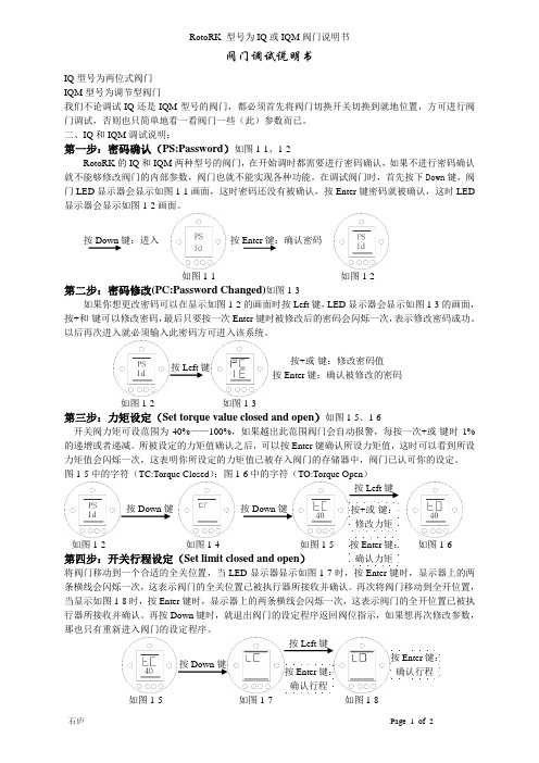 RotoRK 型号为IQ或IQM阀门说明书