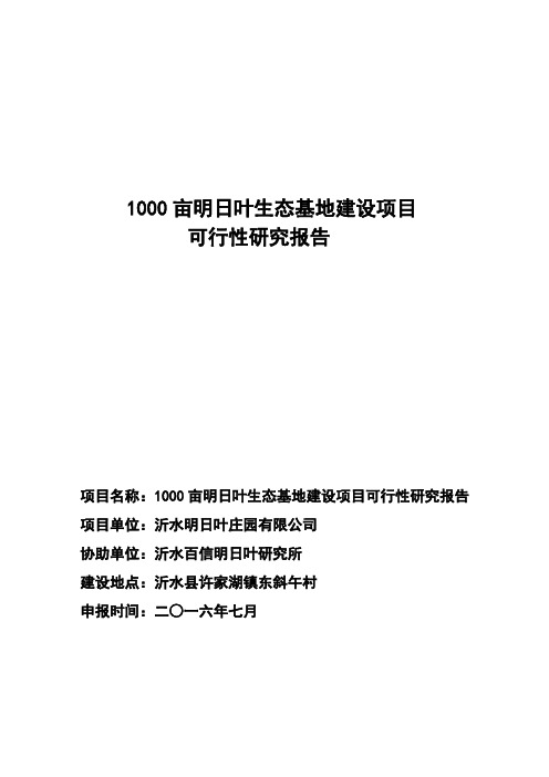 明日叶茶项目报告