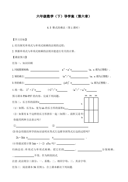 最新鲁教版初中数学六年级下册6.5《整式的乘法》第1课时学案