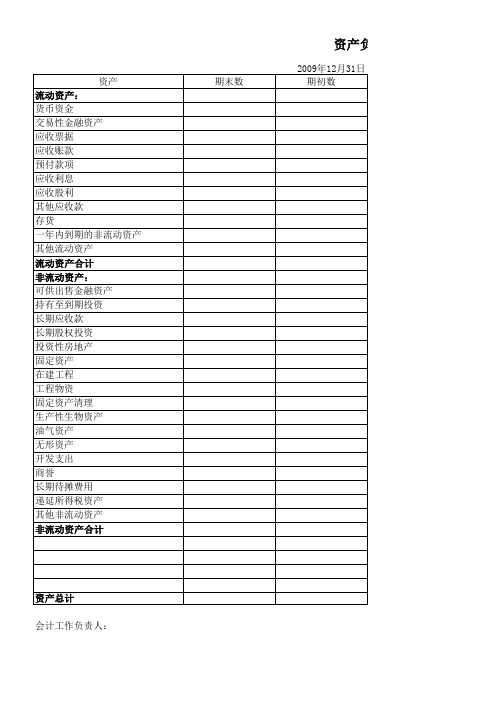 财务报表格式-四表