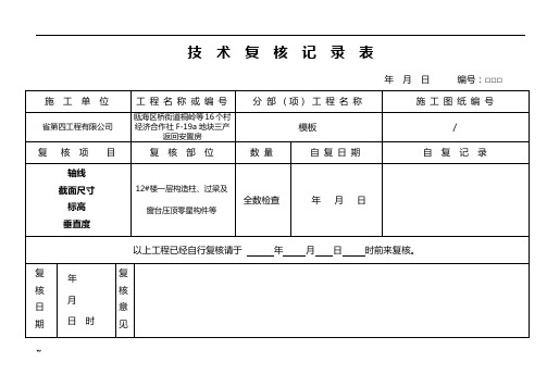 技术复核记录表(模板)