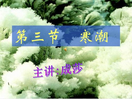4-3 寒潮(正式)台风解析