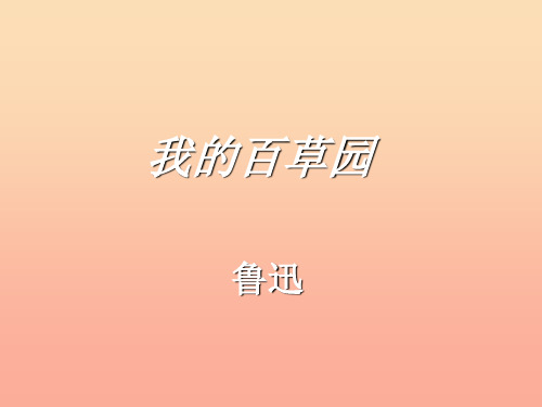 六年级语文上册 第2课 我的百草园课件1 西师大版