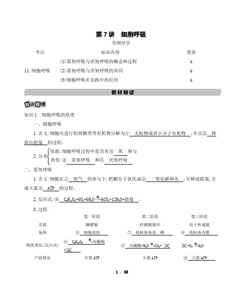 1高考生物浙江选考一轮复习讲义+提能作业：第三单元 第讲 细胞呼吸 含解析