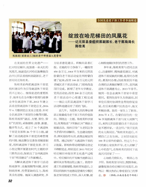绽放在哈尼梯田的凤凰花——记元阳县委组织部副部长、老干部局局