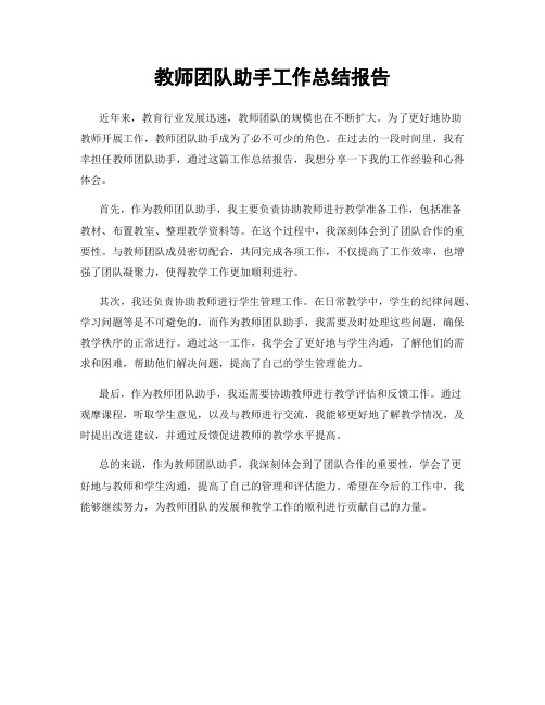 教师团队助手工作总结报告