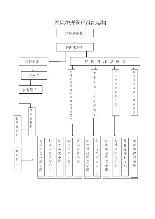 医院护理管理组织架构