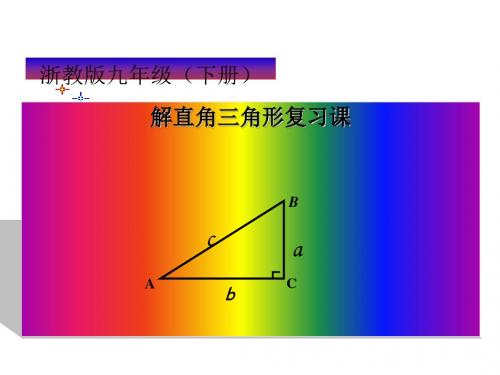 解直角三角形复习 PPT课件 7 浙教版