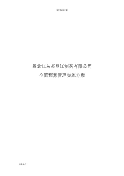 全面预算管理系统实施方案设计设计