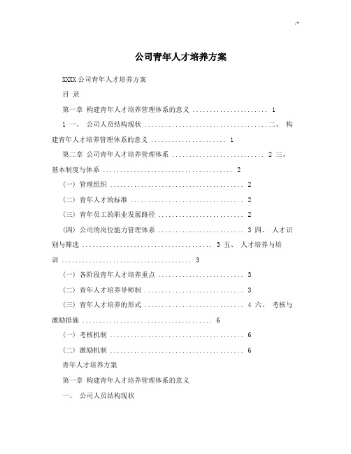 集团公司青年人才培养方案计划