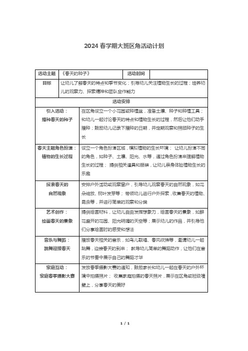 2024春学期大班区角活动计划