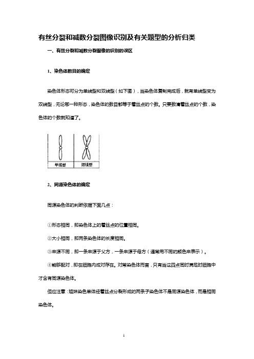 高中生物有丝分裂和减数分裂图解