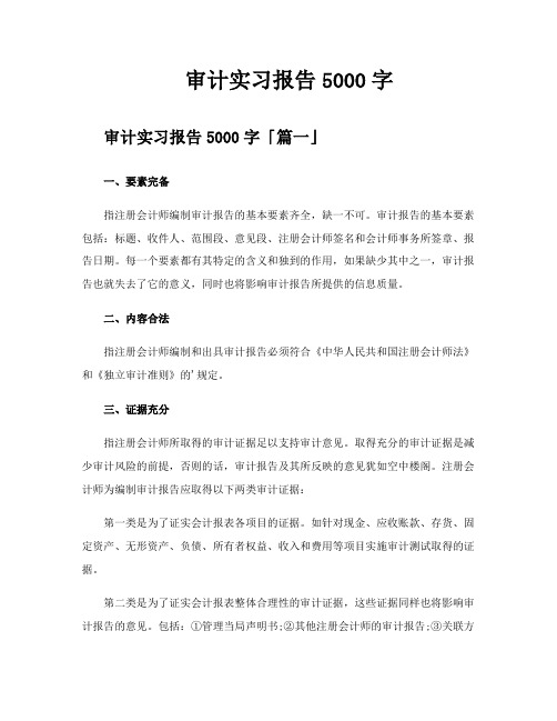 审计实习报告5000字