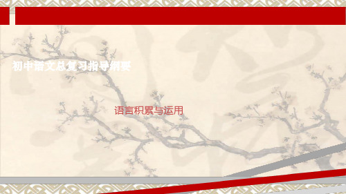 初中语文总复习指导纲要语言积累与运用课件