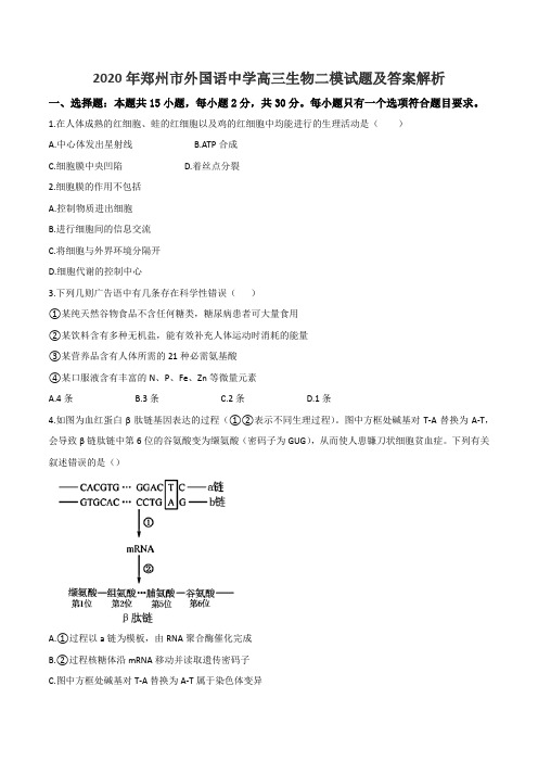 2020年郑州市外国语中学高三生物二模试题及答案解析