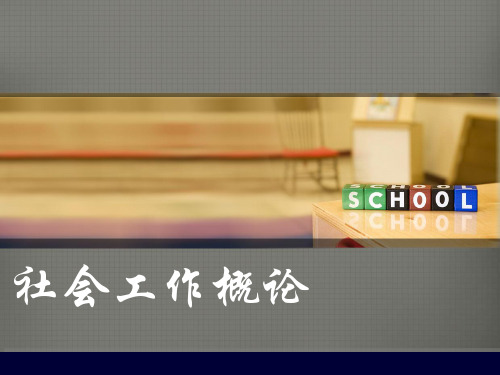 13学校社会工作@社会工作概论