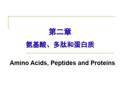 【生物化学】第二章 氨基酸 多肽和蛋白质