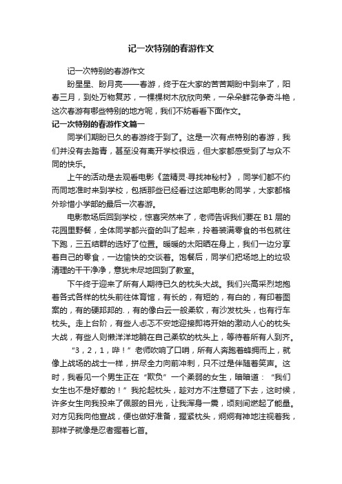 记一次特别的春游作文