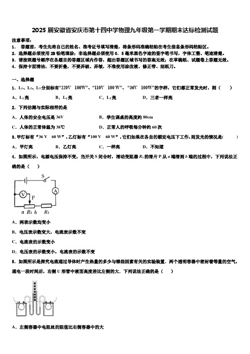 2025届安徽省安庆市第十四中学物理九年级第一学期期末达标检测试题含解析