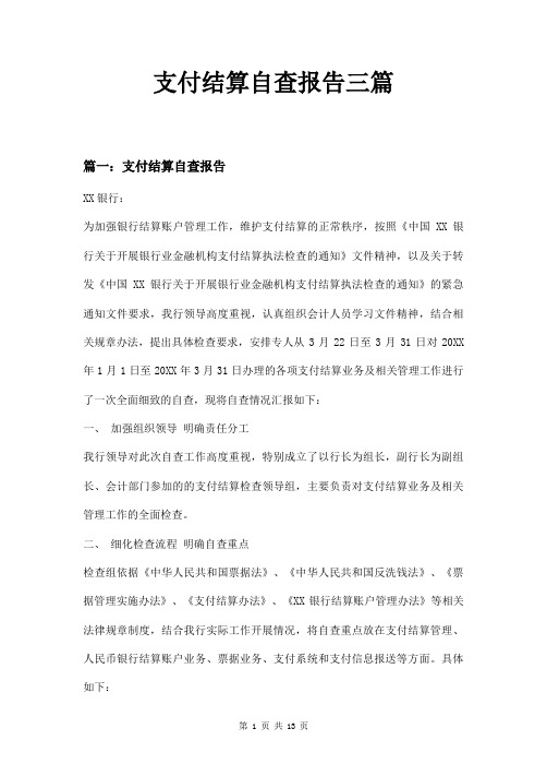 支付结算自查报告三篇