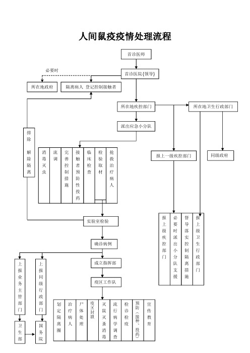 人间鼠疫疫情处理流程图