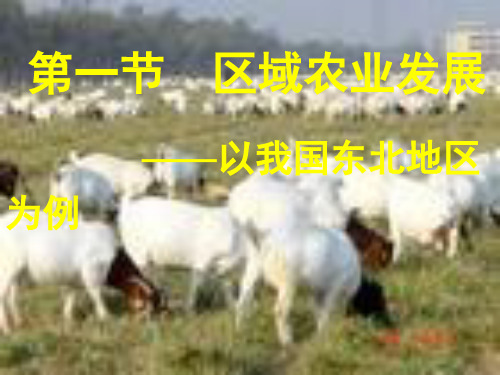 区域农业发展——以我国东北地区为例 PPT资料共78页